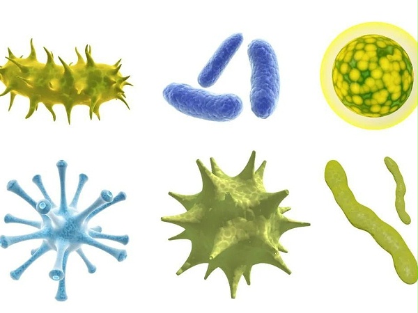 微生物 (2)